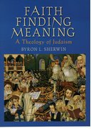 Cover for Faith Finding Meaning