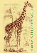 Cover for How Giraffes Work - 9780197571194