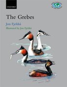 Cover for Grebes