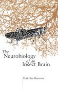 Cover for The Neurobiology of an Insect Brain
