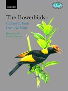 Cover for The Bowerbirds