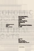 Cover for Economic, Social, and Cultural Rights in International Law