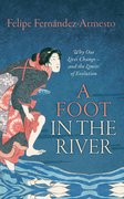 Cover for A Foot in the River