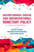 Cover for Macroeconomic Shocks and Unconventional Monetary Policy - 9780198838104