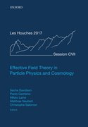 Cover for Effective Field Theory in Particle Physics and Cosmology