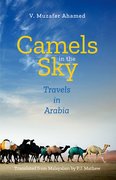 Cover for Camels in the Sky