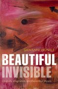 Cover for The Beautiful Invisible