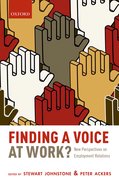 Cover for Finding a Voice at Work?