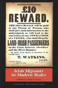 Cover for Irish Migrants in Modern Wales