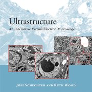Cover for Ultrastructure