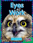 Cover for All About Eyes at Work Fast Lane Emerald Non-Fiction