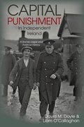 Cover for Capital Punishment in Independent Ireland