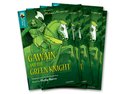 Oxford Reading Tree TreeTops Greatest Stories: Oxford Level 16: Gawain and the Green Knight Pack 6