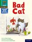Read Write Inc. Phonics: A bad cat (Green Set 1 Book Bag Book 3)